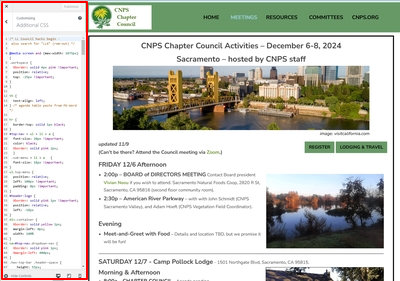 WordPress Customizer in use